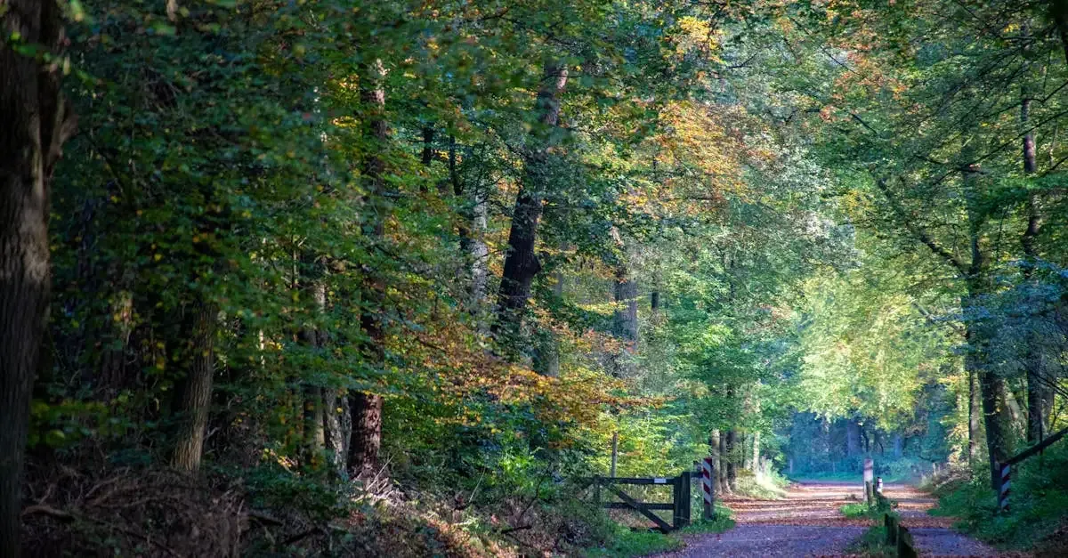 Bruidsfotografie Veluwe: Onvergetelijke trouwreportages
