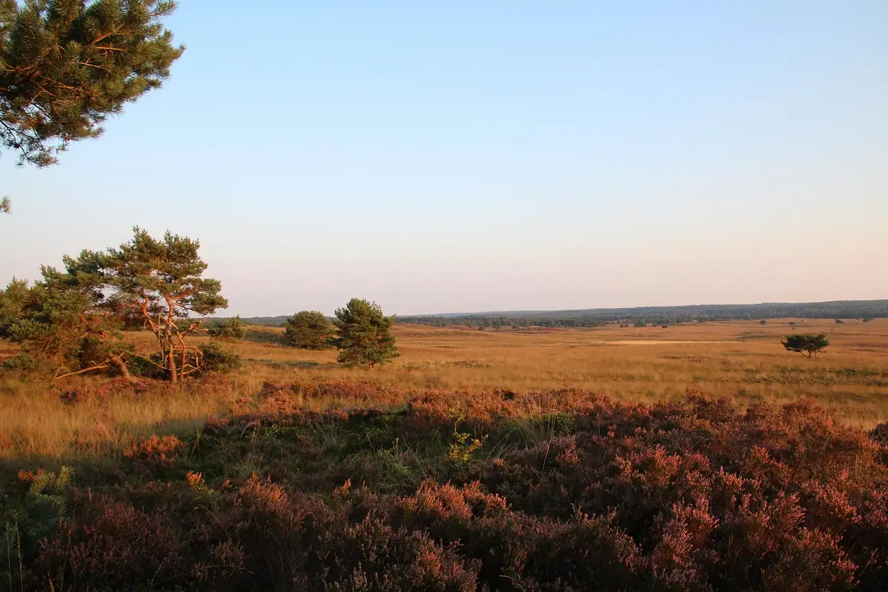 Sfeervolle trouwlocatie in de schitterende Veluwe