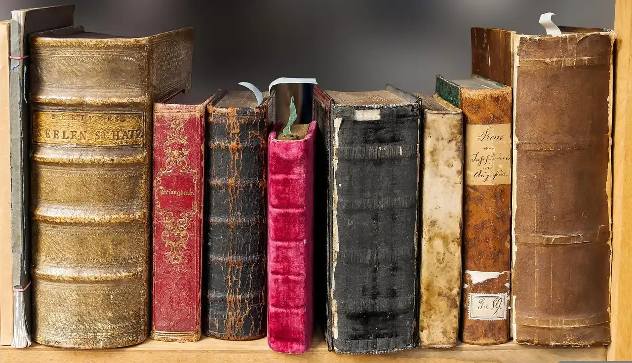 Professionele zangeres voor uw bruiloft boeken